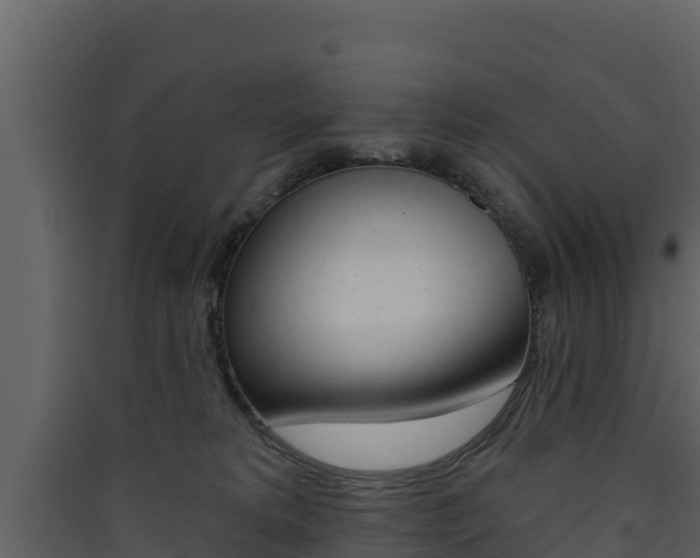 X0000090420229200707130953