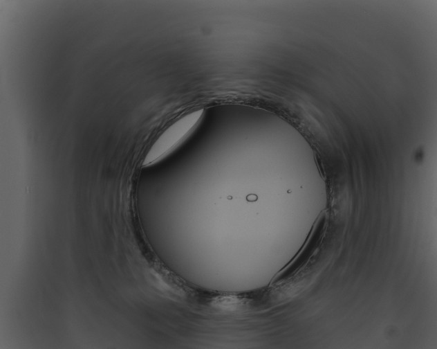 X0000090420231200707130953