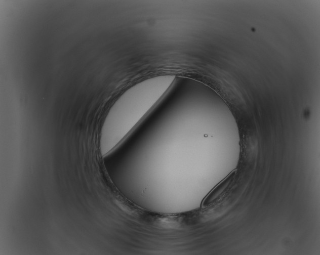 X0000090420232200707130953