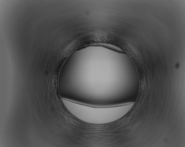 X0000090420233200707130953