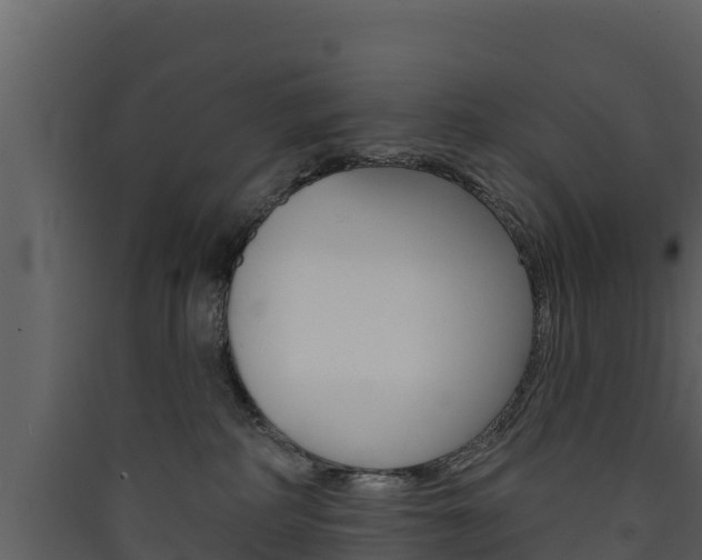 X0000090420234200707130953