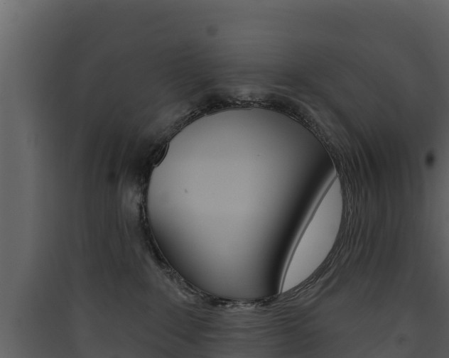 X0000090420235200707130953