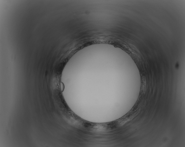 X0000090420236200707130953