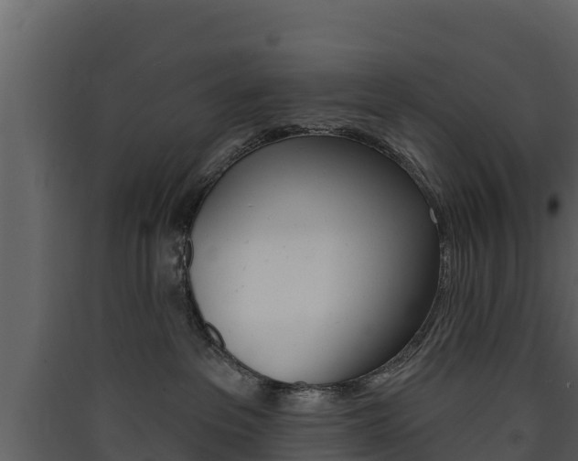 X0000090420237200707130953