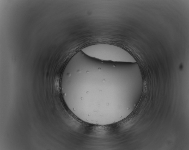 X0000090420238200707130953