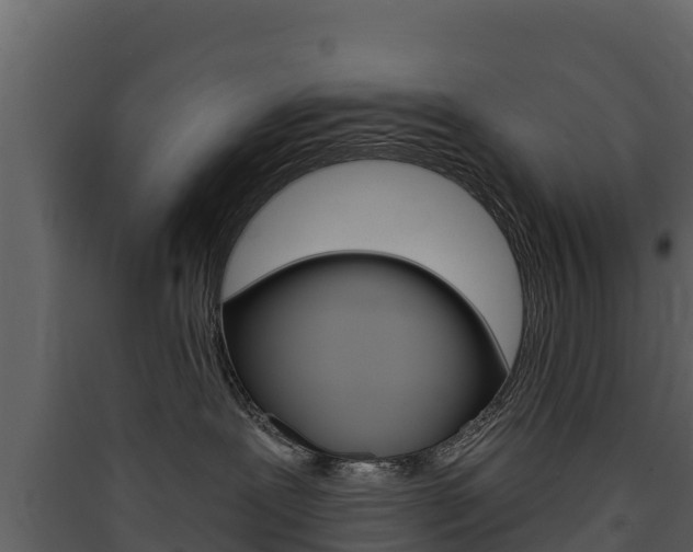 X0000090420239200707130953