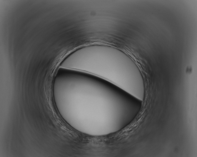 X0000090420241200707130952