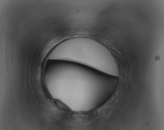 X0000090420242200707130952