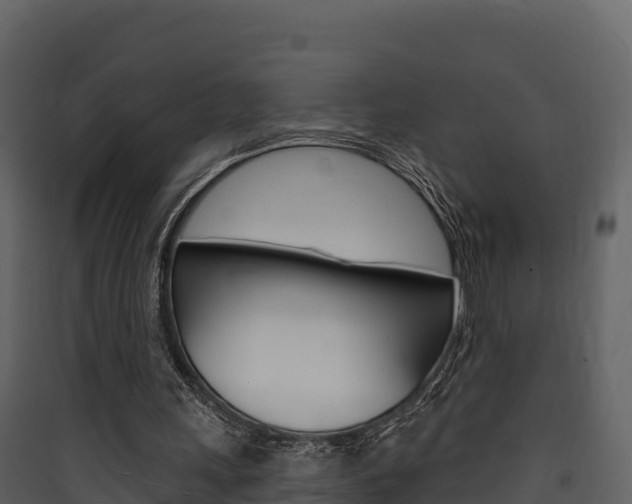 X0000090420243200707130952