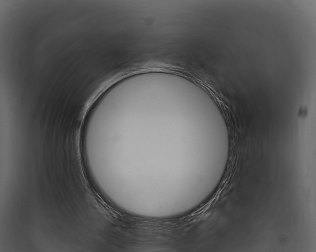 X0000090420244200707130952