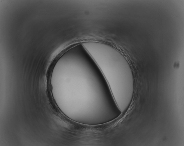 X0000090420246200707130952