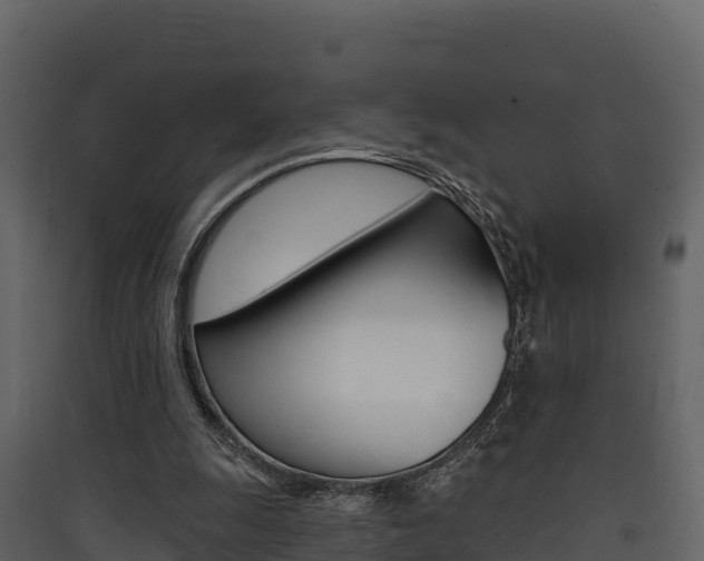 X0000090420247200707130952