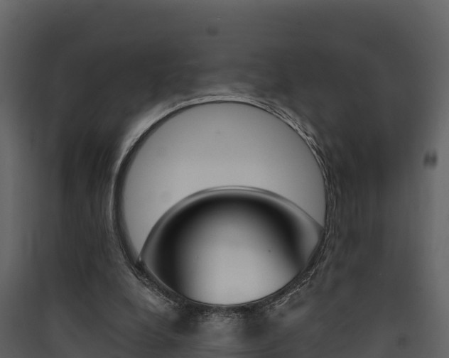 X0000090420248200707130952