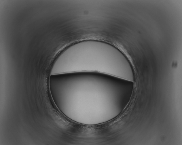 X0000090420249200707130952