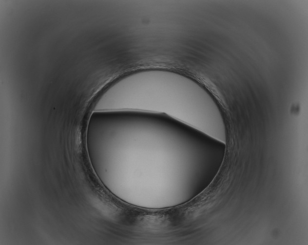 X0000090420251200707130953
