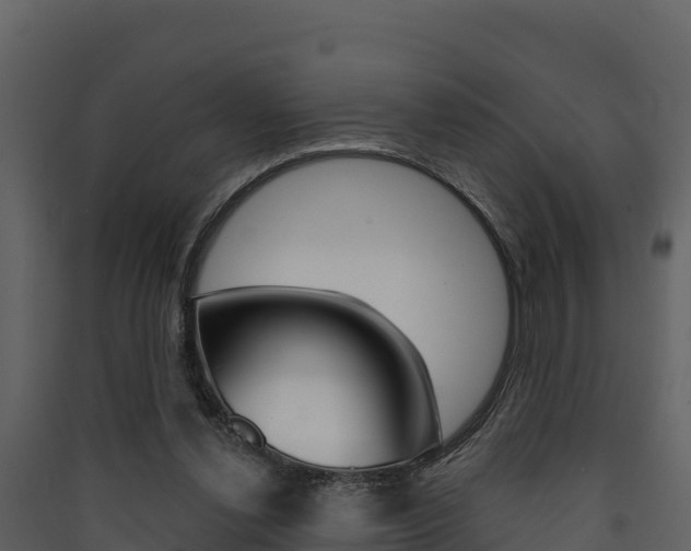 X0000090420252200707130953