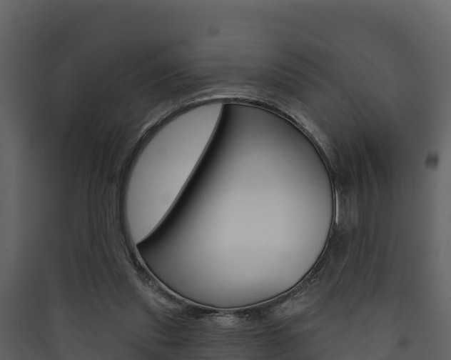 X0000090420253200707130953