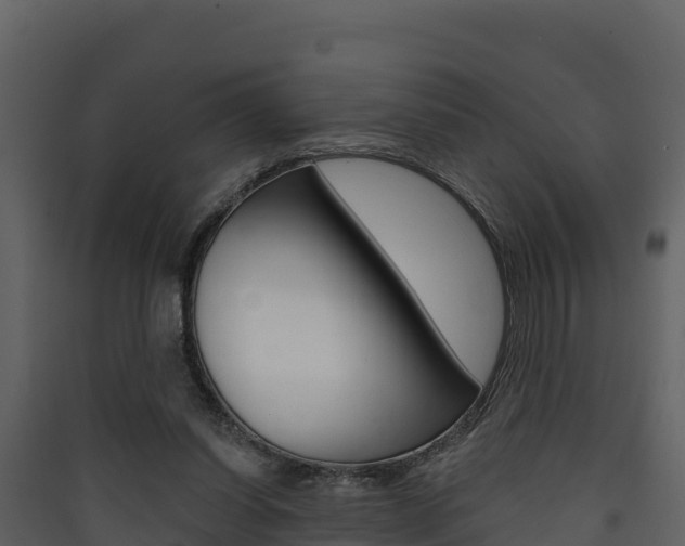 X0000090420254200707130953