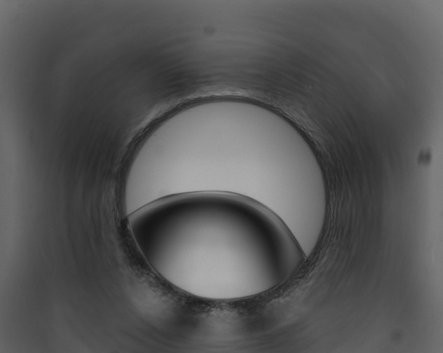 X0000090420256200707130953