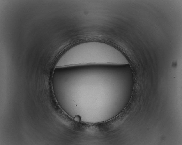 X0000090420258200707130953