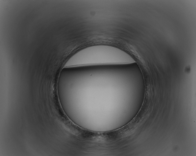 X0000090420259200707130953