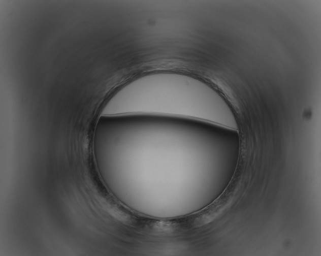 X0000090420261200707130953