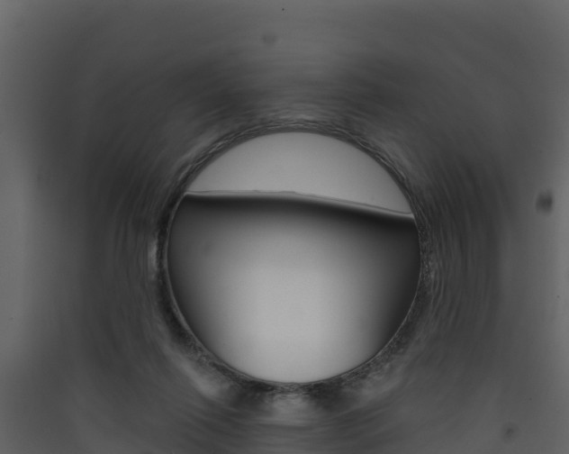 X0000090420262200707130953