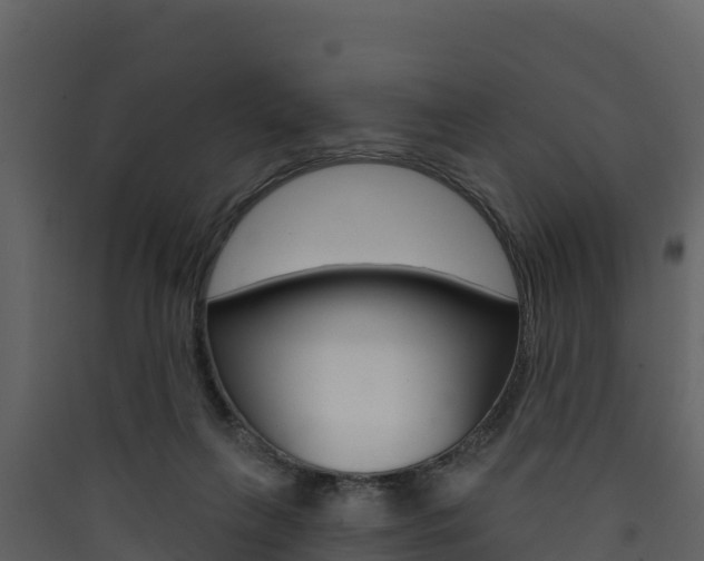 X0000090420263200707130953