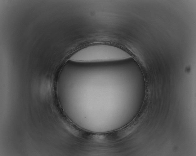 X0000090420265200707130953