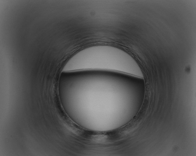 X0000090420266200707130953