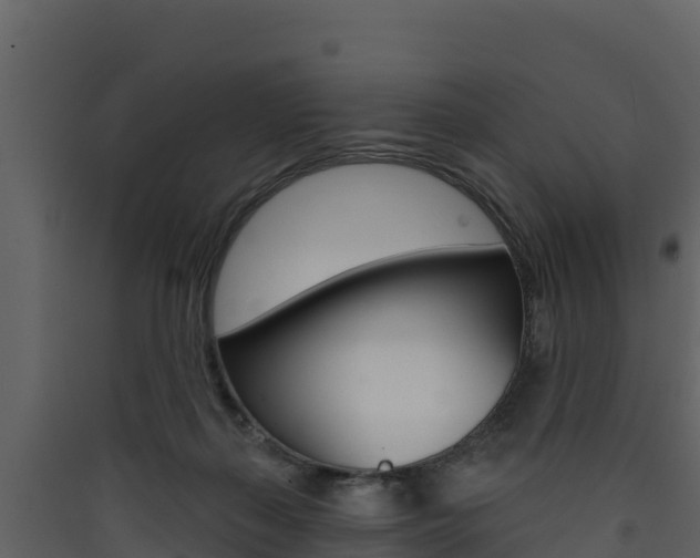 X0000090420267200707130953