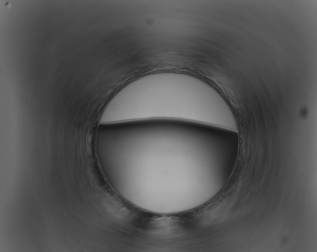 X0000090420269200707130953