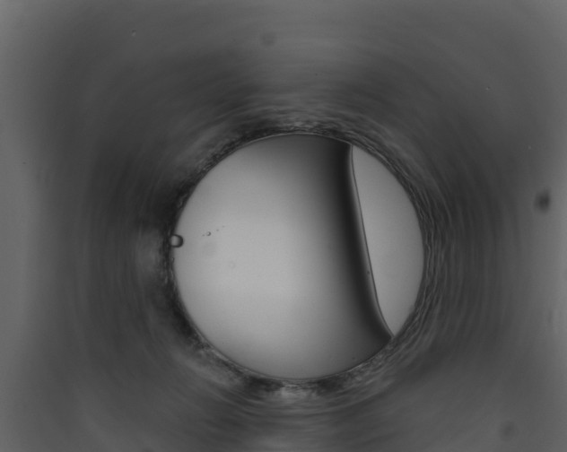 X0000090420270200707130953