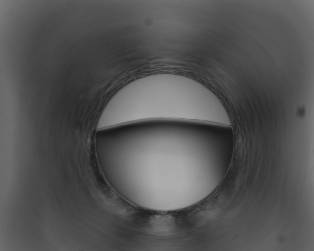 X0000090420271200707130953