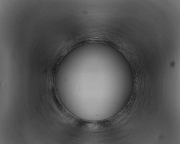 X0000090420272200707130953