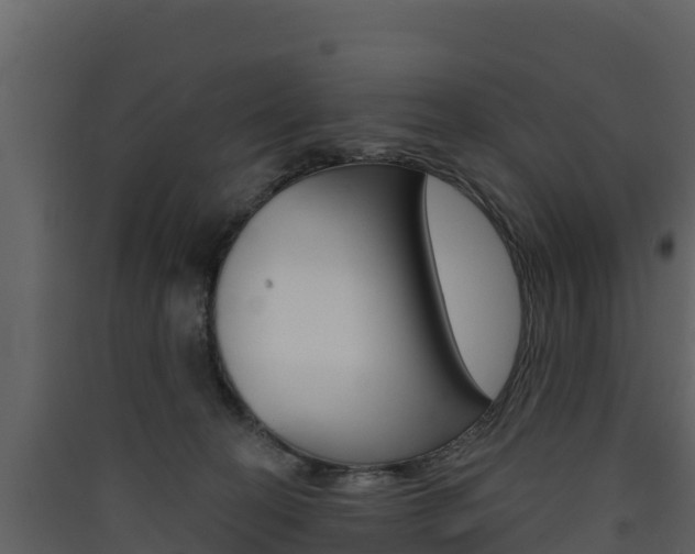 X0000090420274200707130953