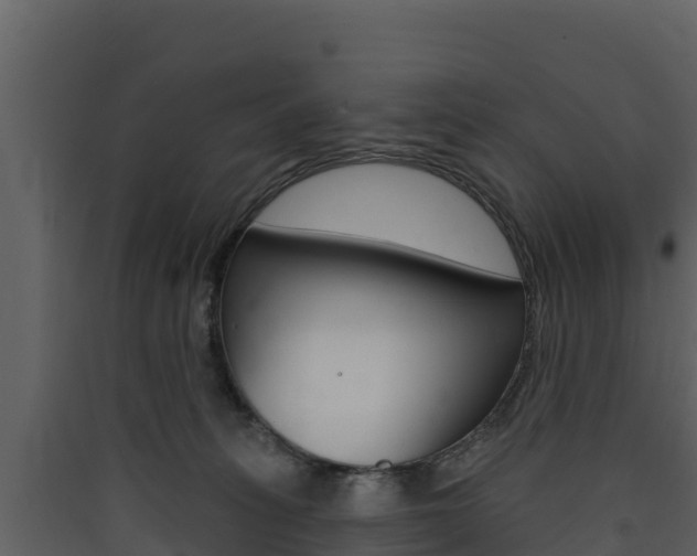 X0000090420275200707130953