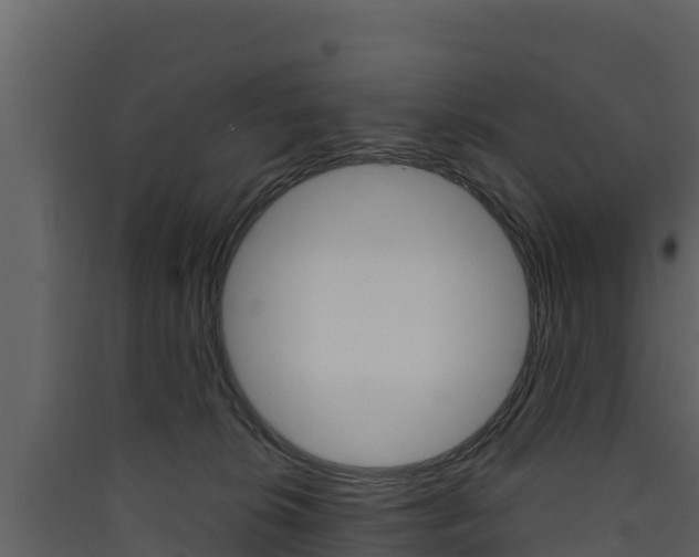 X0000090420276200707130953