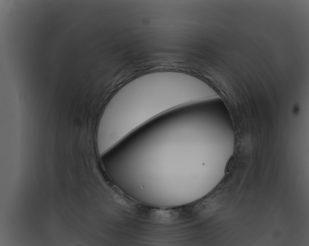 X0000090420277200707130953
