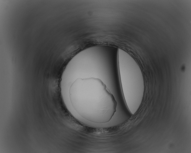 X0000090420278200707130953