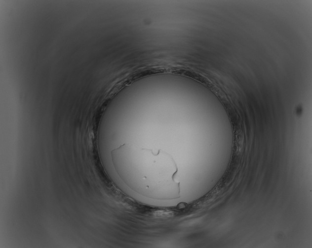 X0000090420279200707130953