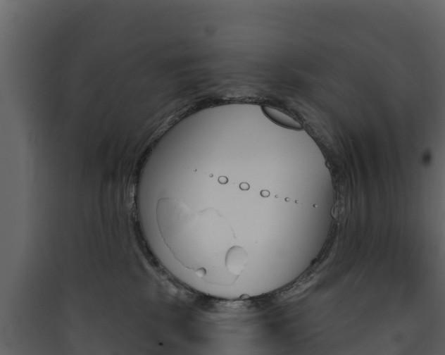 X0000090420281200707130953