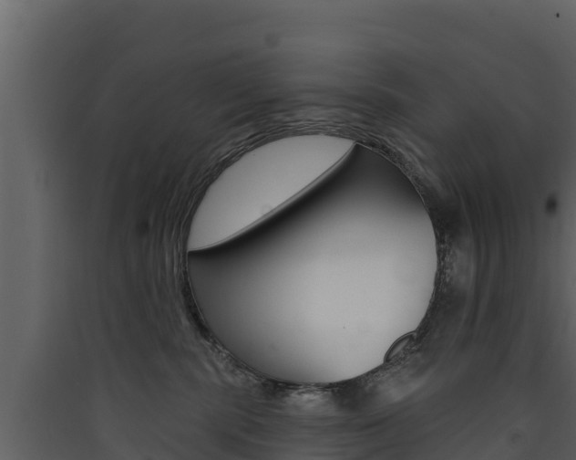 X0000090420283200707130953