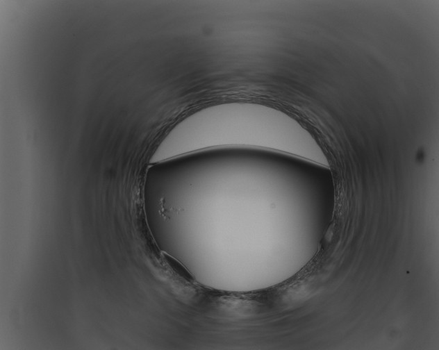 X0000090420284200707130953