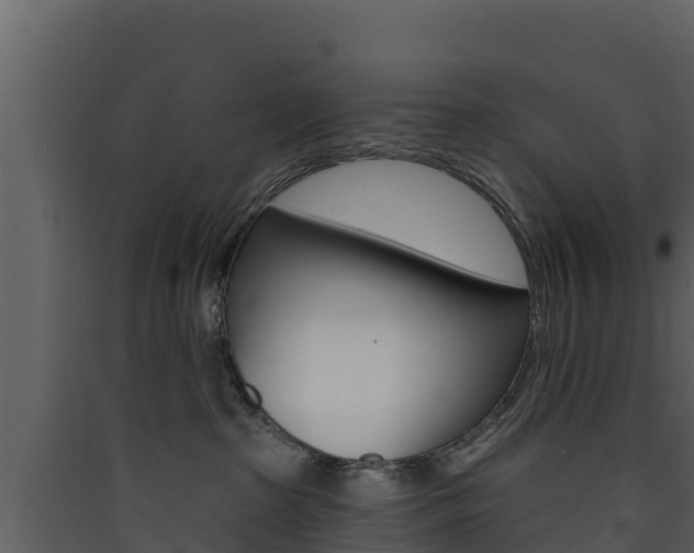 X0000090420285200707130953