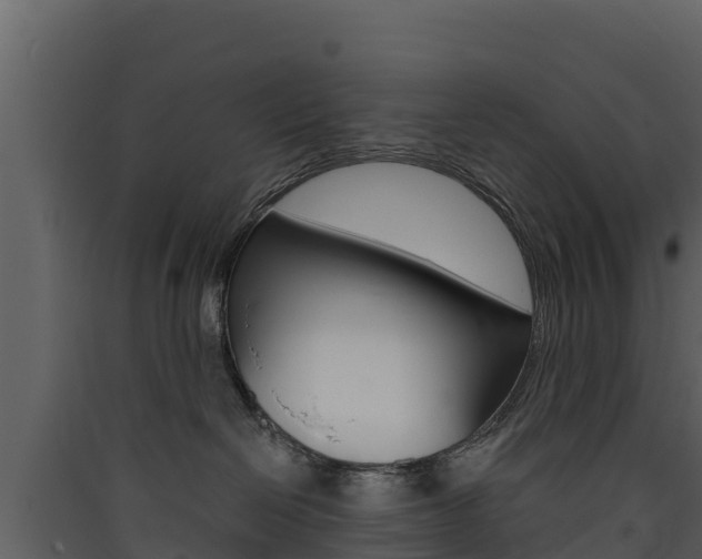 X0000090420286200707130953