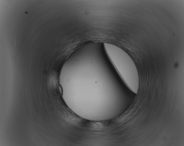 X0000090420287200707130953