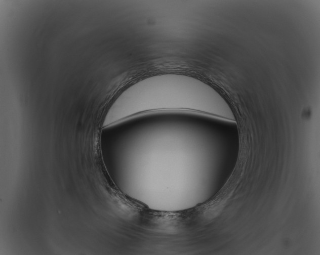 X0000090420288200707130953