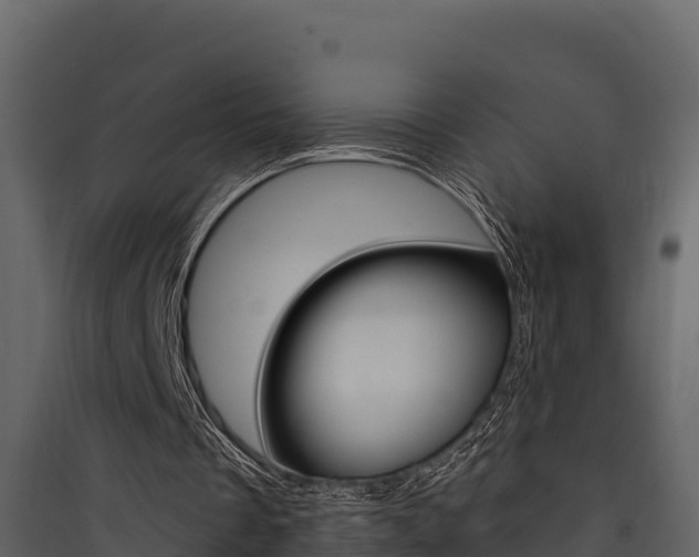 X0000090420289200707130952