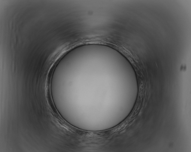 X0000090420290200707130952